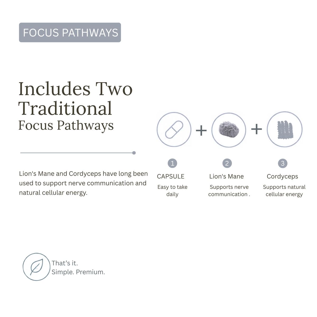 Daily Mind Clarity Formula